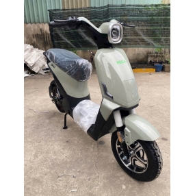 Xe điện pega