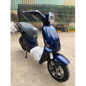 Xe điện pega