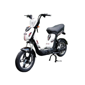 Xe đạp điện JVC eco Neo